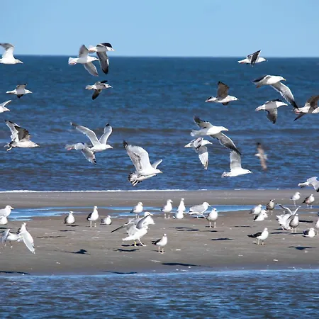 De Gode Stuuv - Mit Sauna Апартаменты *